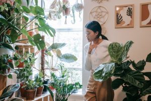 除甲醛方法比較：選擇最適合你的淨化方案