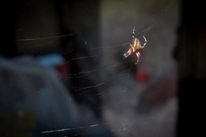埋線療程的全面解析與指導