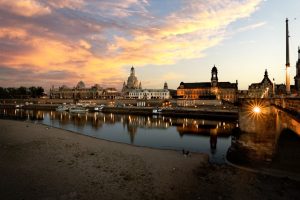 麗珠蘭的魅力與應用：理性探索與親和互動