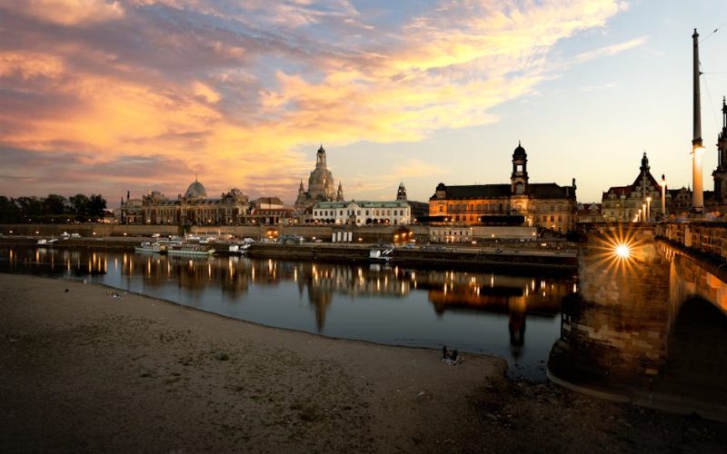 麗珠蘭的魅力與應用：理性探索與親和互動